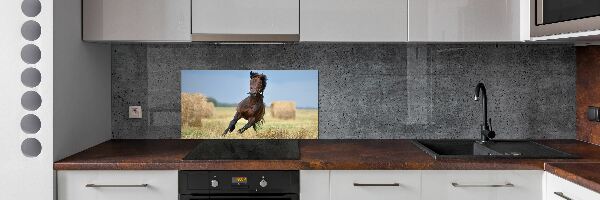 Cooker splashback Horse at a gallop