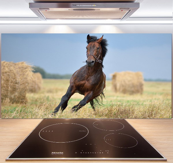 Cooker splashback Horse at a gallop