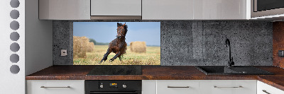 Cooker splashback Horse at a gallop