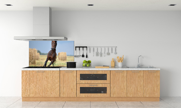 Cooker splashback Horse at a gallop