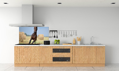 Cooker splashback Horse at a gallop