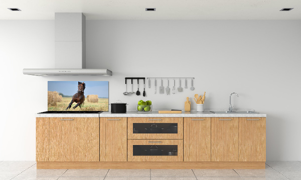 Cooker splashback Horse at a gallop