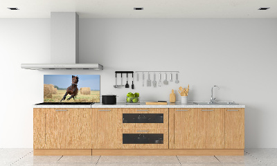 Cooker splashback Horse at a gallop