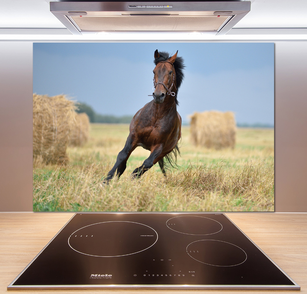 Cooker splashback Horse at a gallop