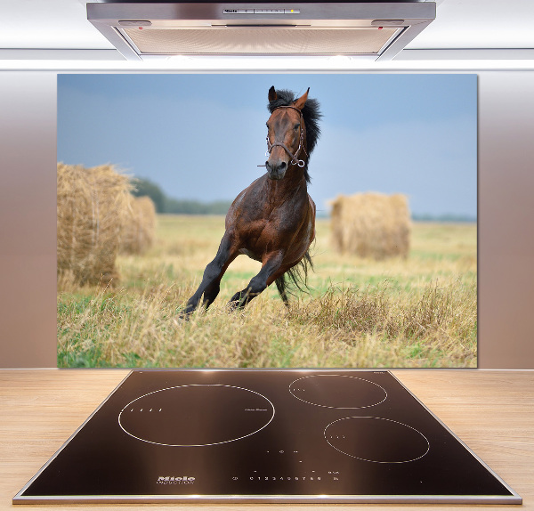 Cooker splashback Horse at a gallop