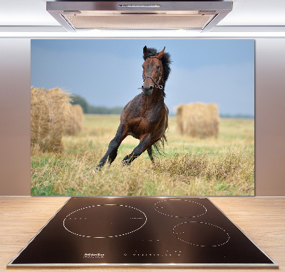 Cooker splashback Horse at a gallop