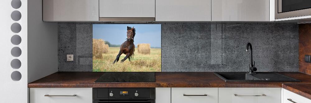 Cooker splashback Horse at a gallop