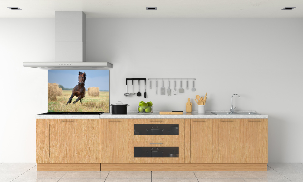 Cooker splashback Horse at a gallop