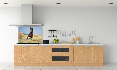 Cooker splashback Horse at a gallop