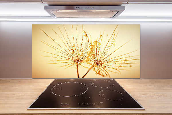 Cooker splashback Dandelion seeds