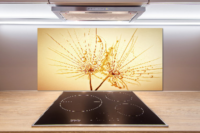 Cooker splashback Dandelion seeds