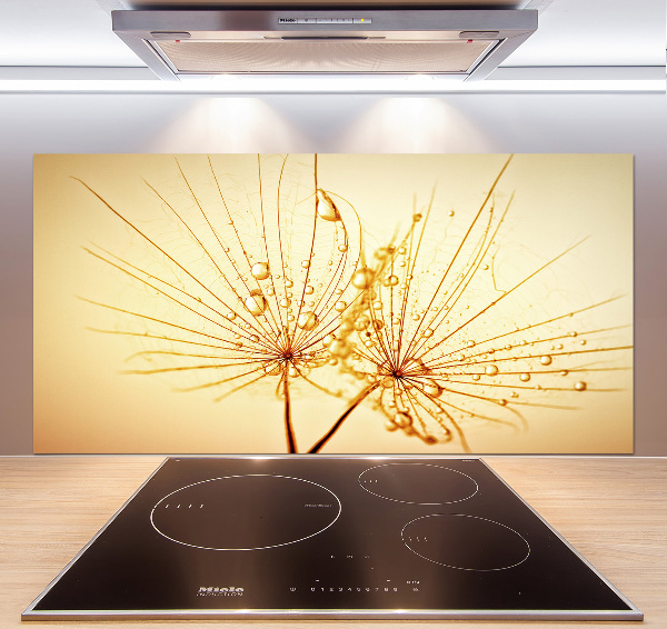 Cooker splashback Dandelion seeds