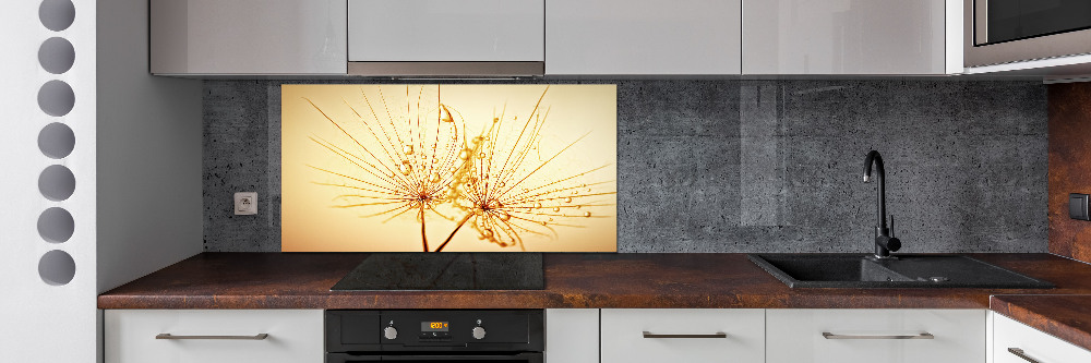 Cooker splashback Dandelion seeds