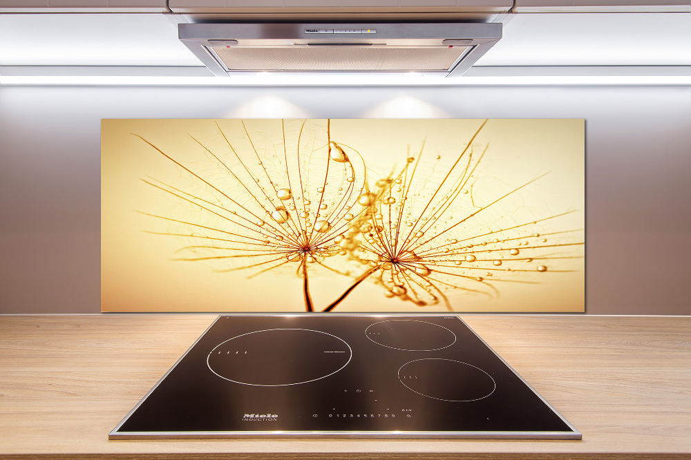 Cooker splashback Dandelion seeds