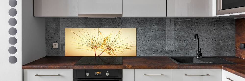 Cooker splashback Dandelion seeds