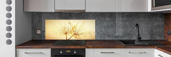 Cooker splashback Dandelion seeds