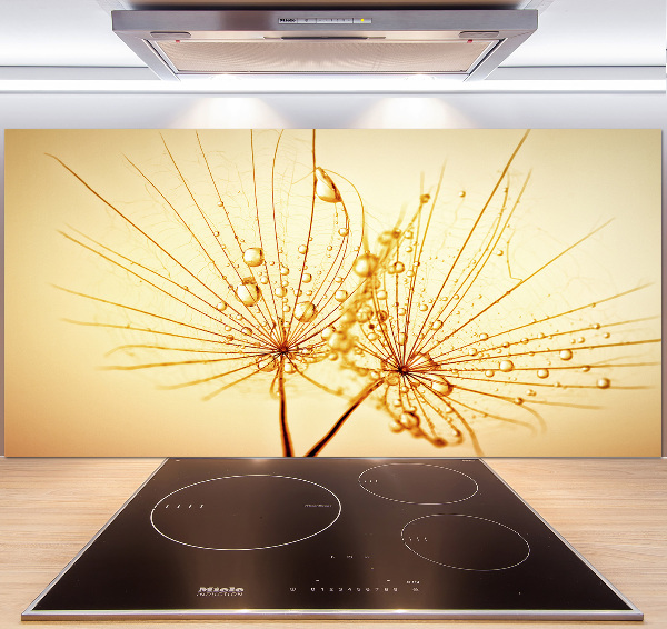 Cooker splashback Dandelion seeds