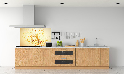 Cooker splashback Dandelion seeds