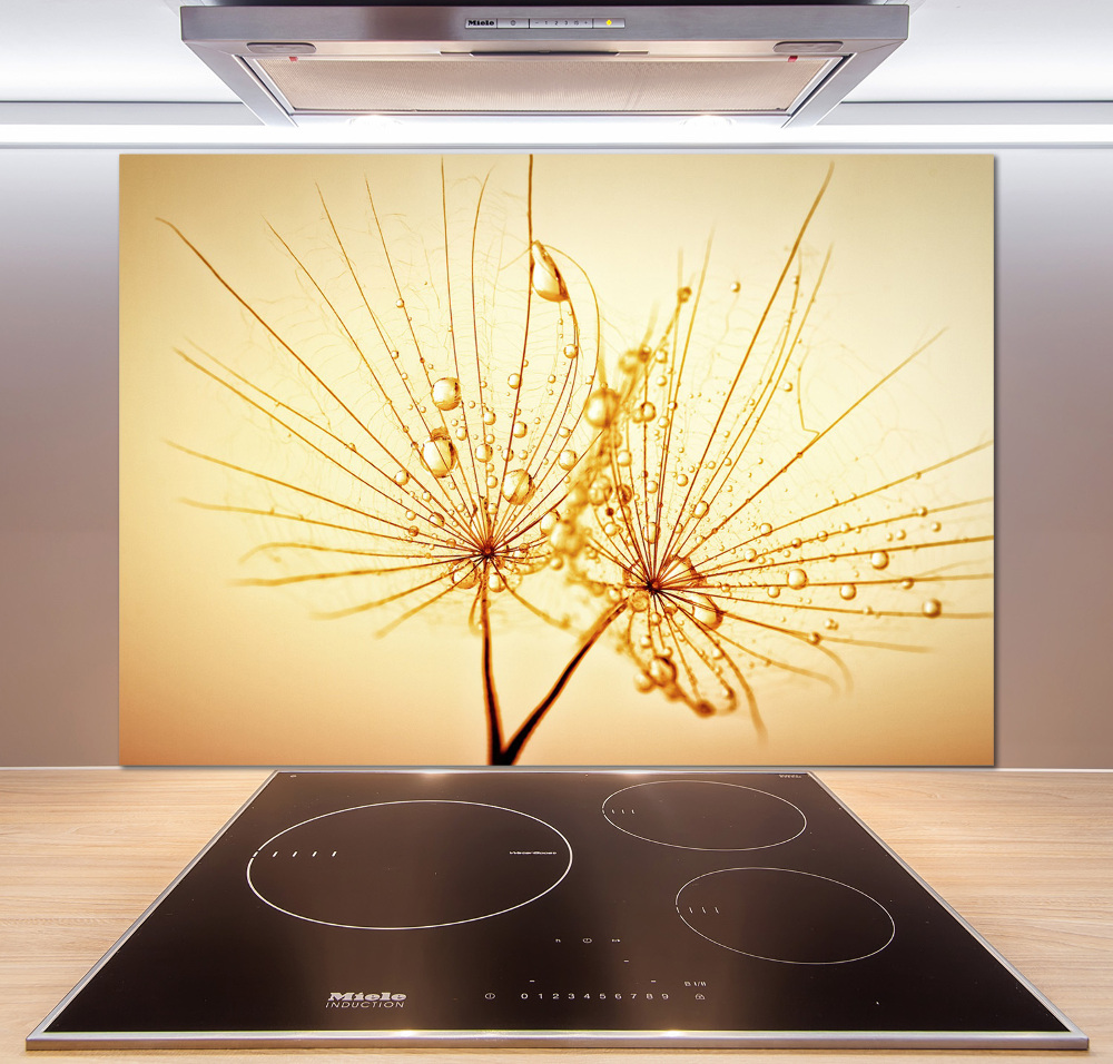 Cooker splashback Dandelion seeds