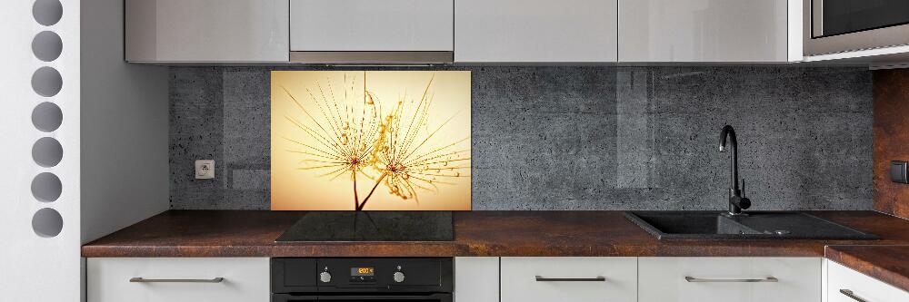 Cooker splashback Dandelion seeds