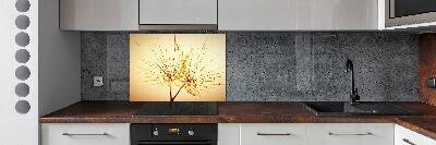 Cooker splashback Dandelion seeds