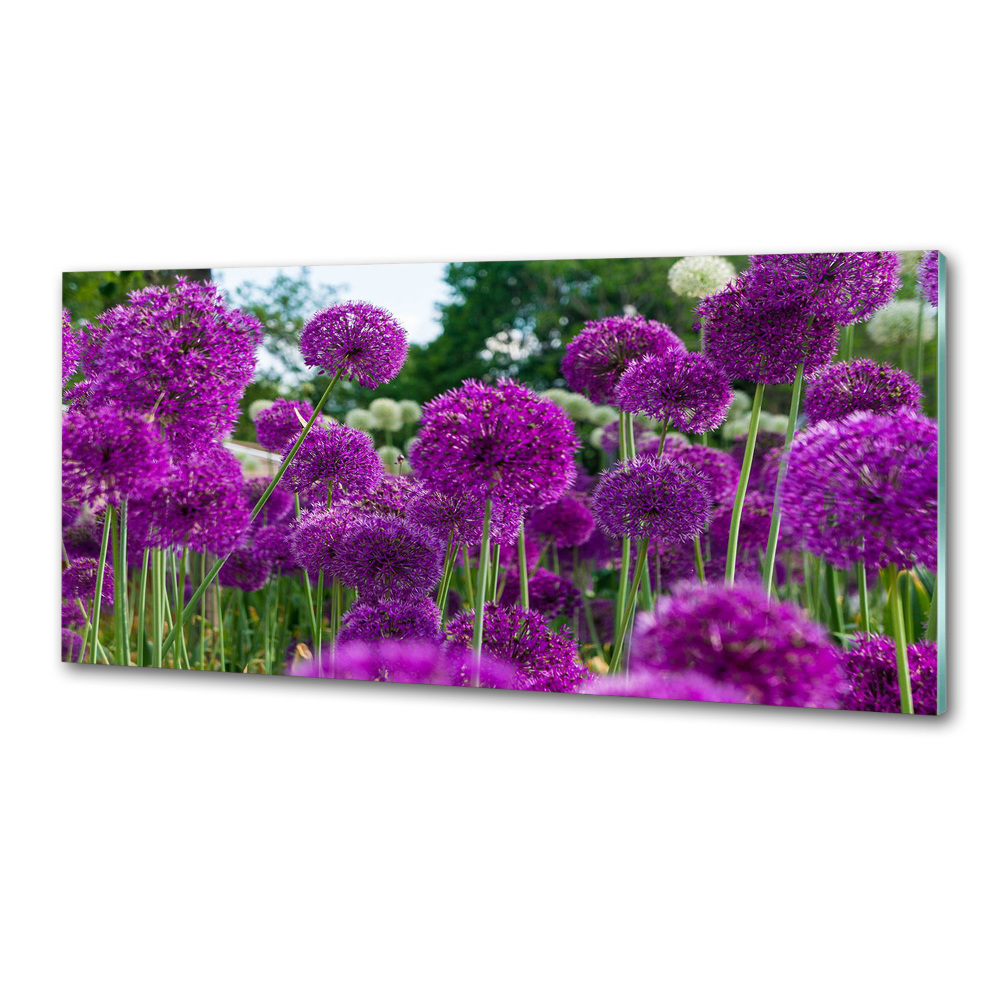 Cooker splashback Garlic flowers