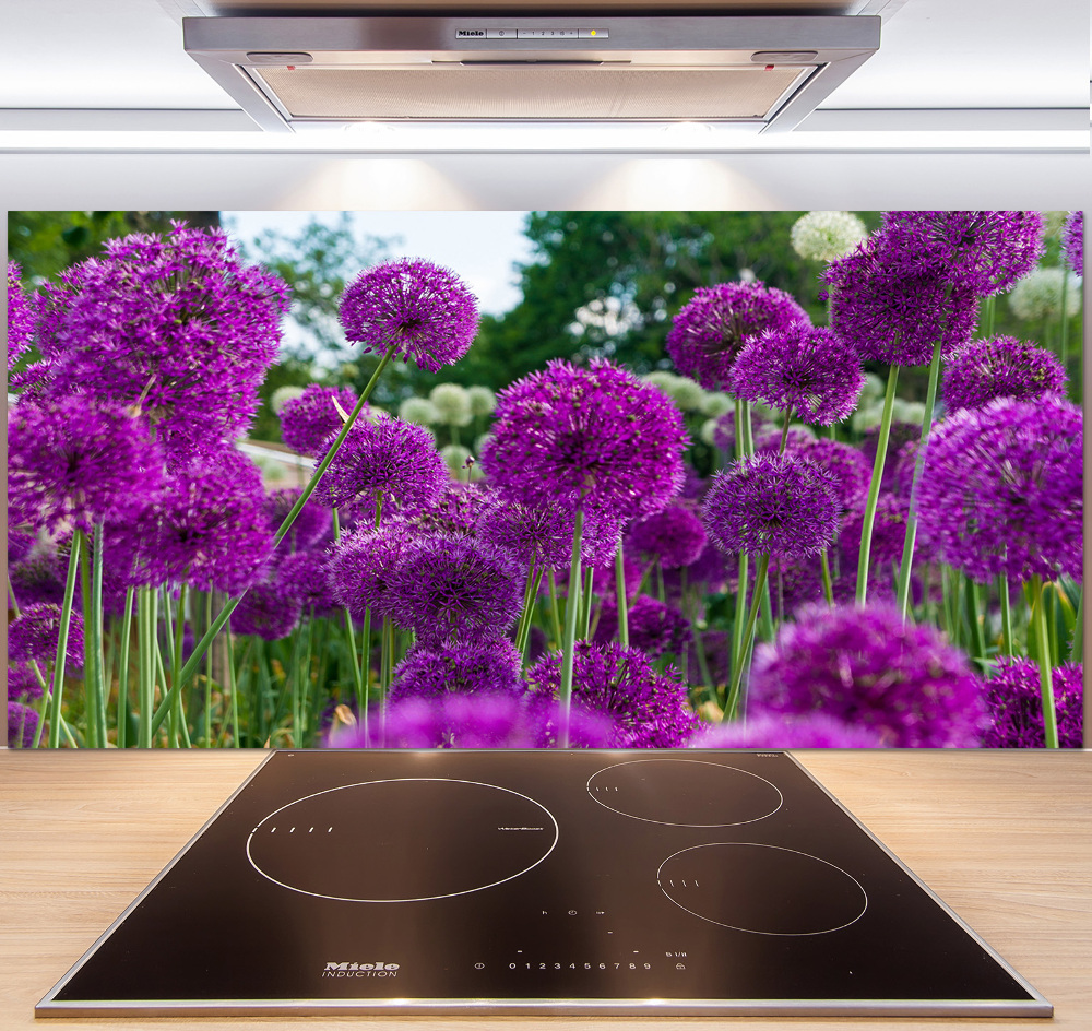 Cooker splashback Garlic flowers