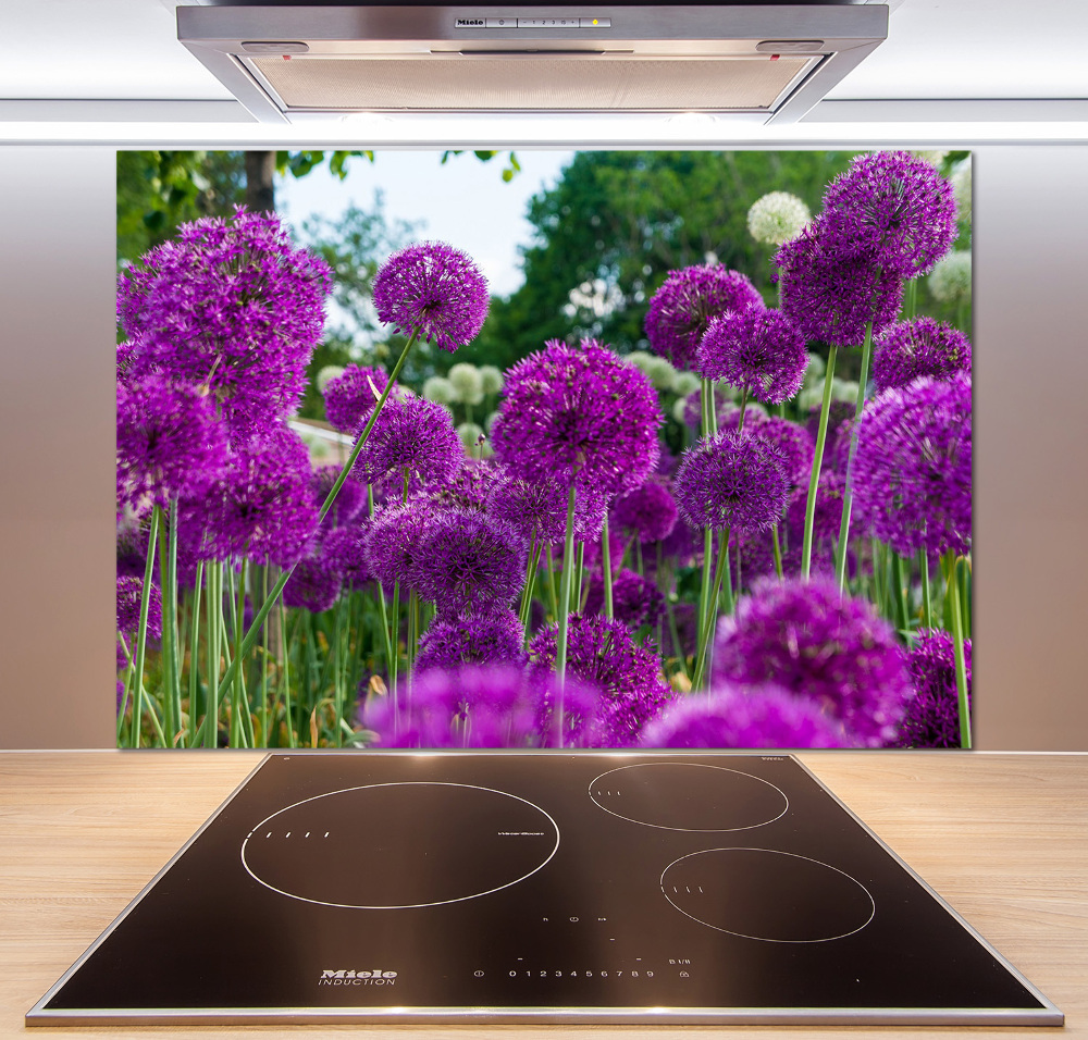 Cooker splashback Garlic flowers