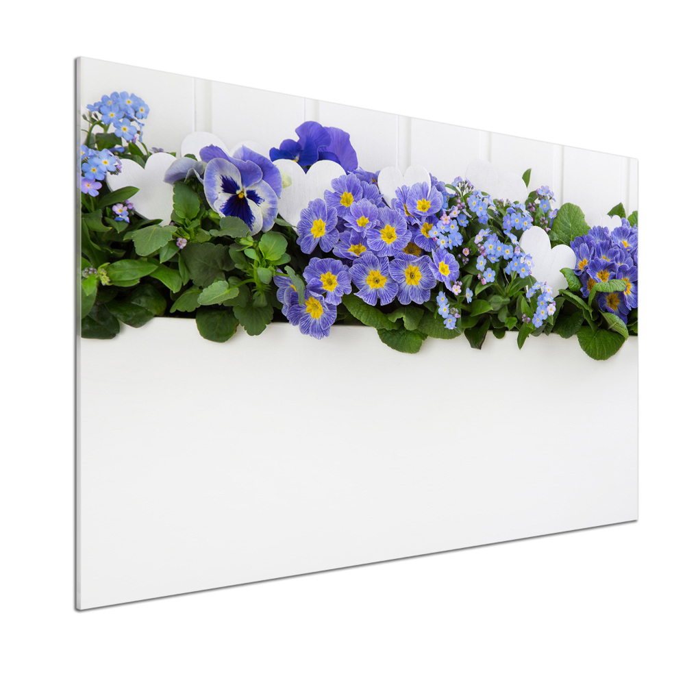 Cooker splashback Blue flowers