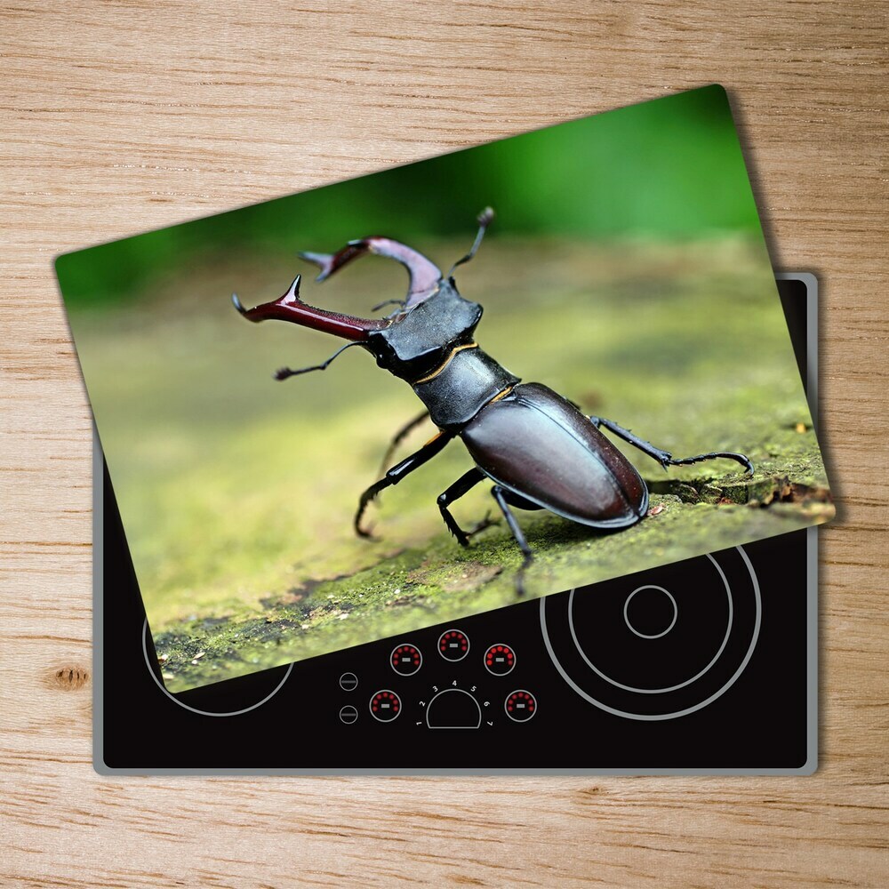 Chopping board Beetle