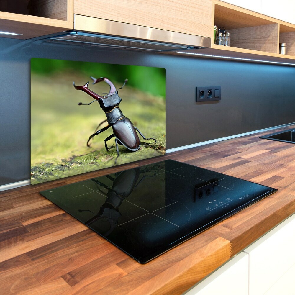 Chopping board Beetle