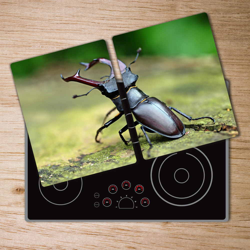 Chopping board Beetle