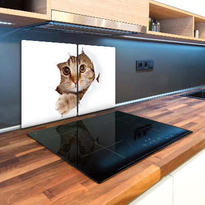 Glass chopping board Cat