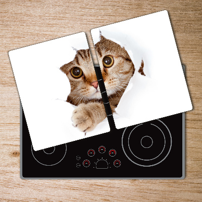 Glass chopping board Cat