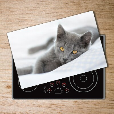 Cutting board Gray cat