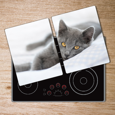 Cutting board Gray cat