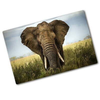 Chopping board Elephant in the savanna