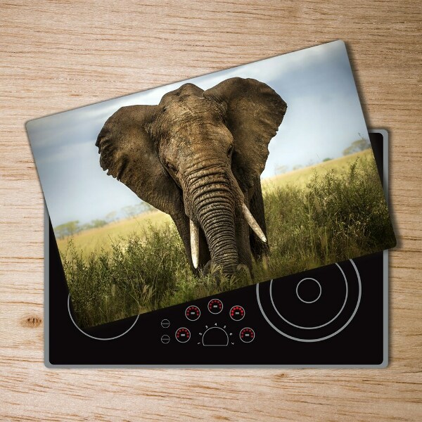 Chopping board Elephant in the savanna