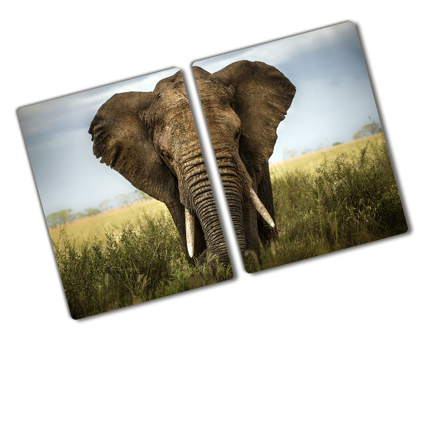 Chopping board Elephant in the savanna