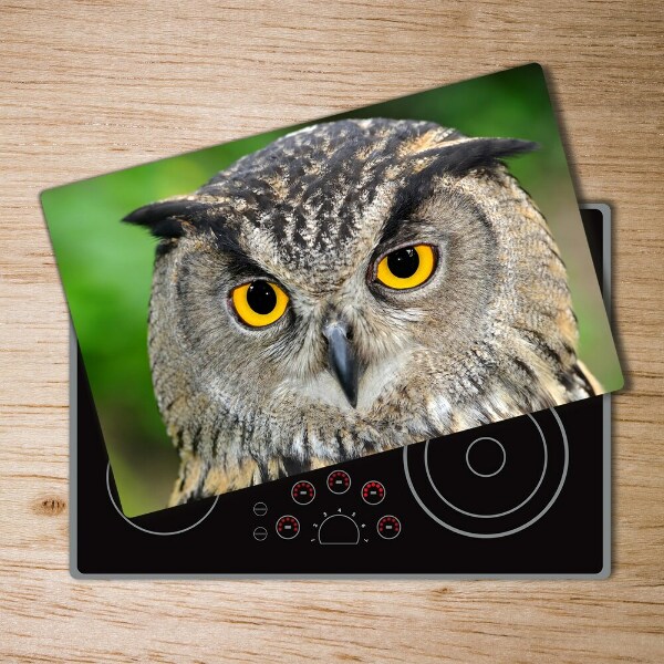 Cutting board Owl