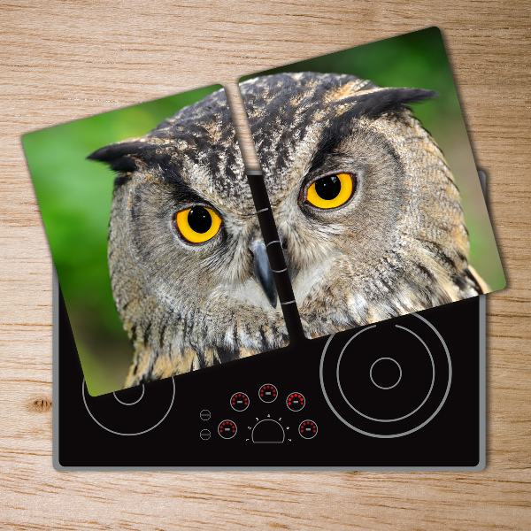 Cutting board Owl