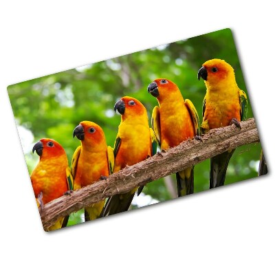 Chopping board Parrots on a branch