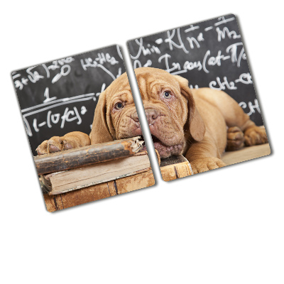 Chopping board The dog bites a book