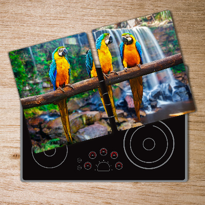 Chopping board Parrots on a branch