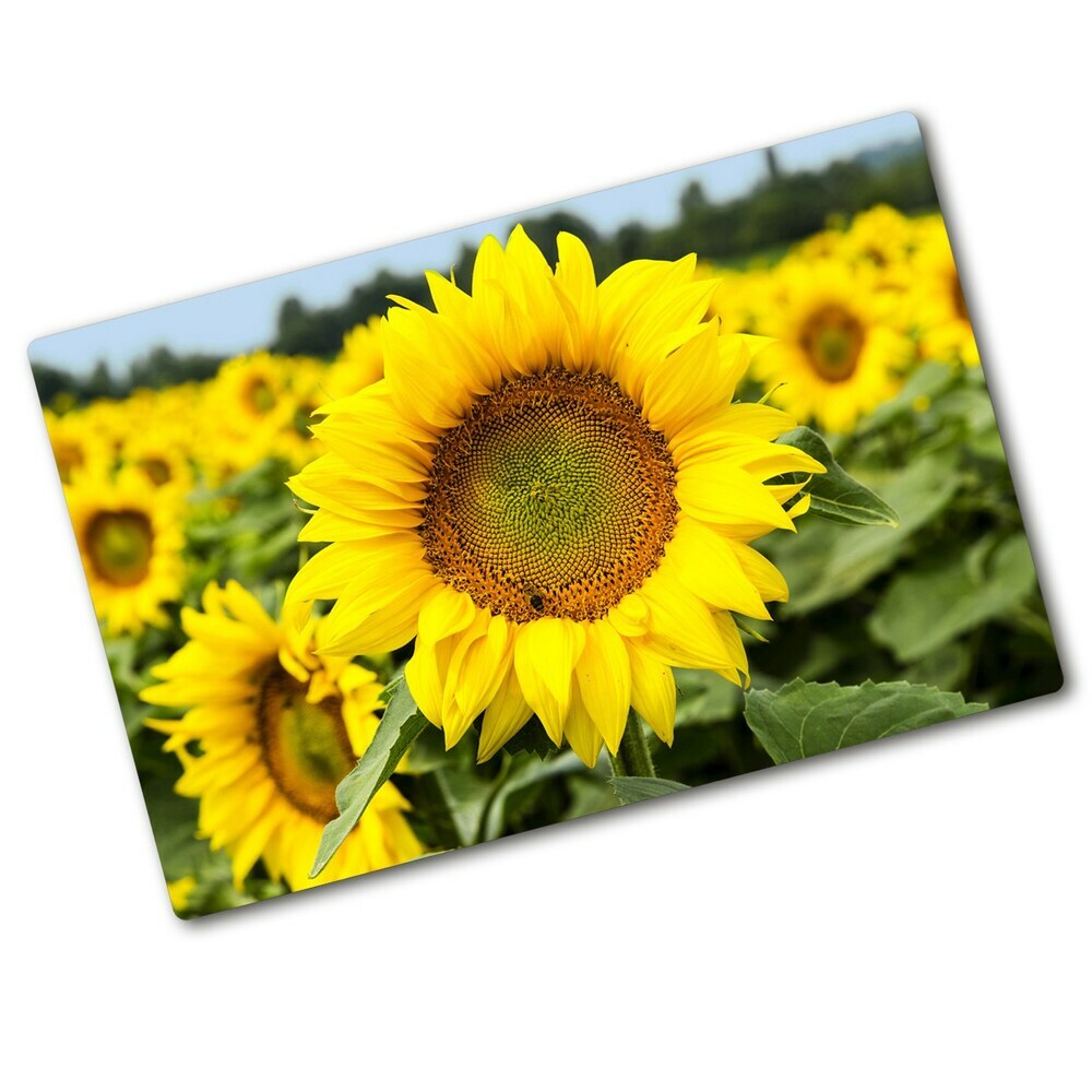 Chopping board Sunflower field