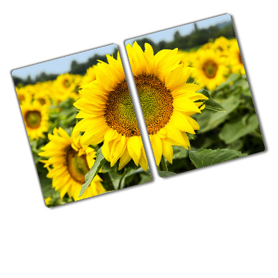 Chopping board Sunflower field