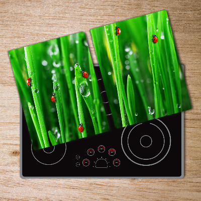 Glass chopping board Ladybugs on the grass