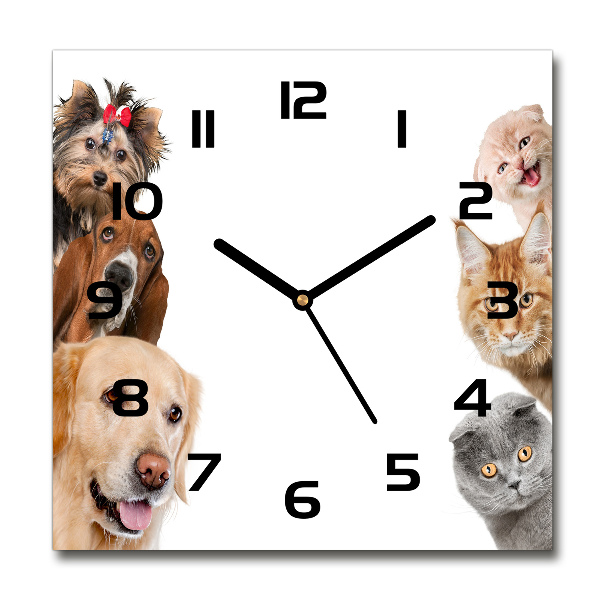 Square glass wall clock Dogs and cats