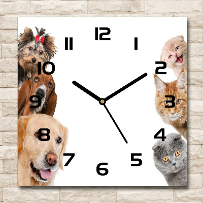 Square glass wall clock Dogs and cats