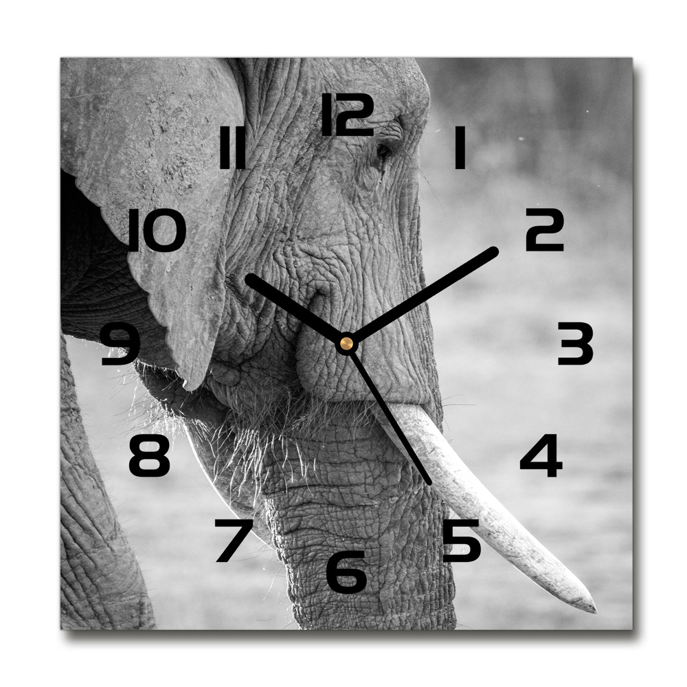 Square wall clock Elephant